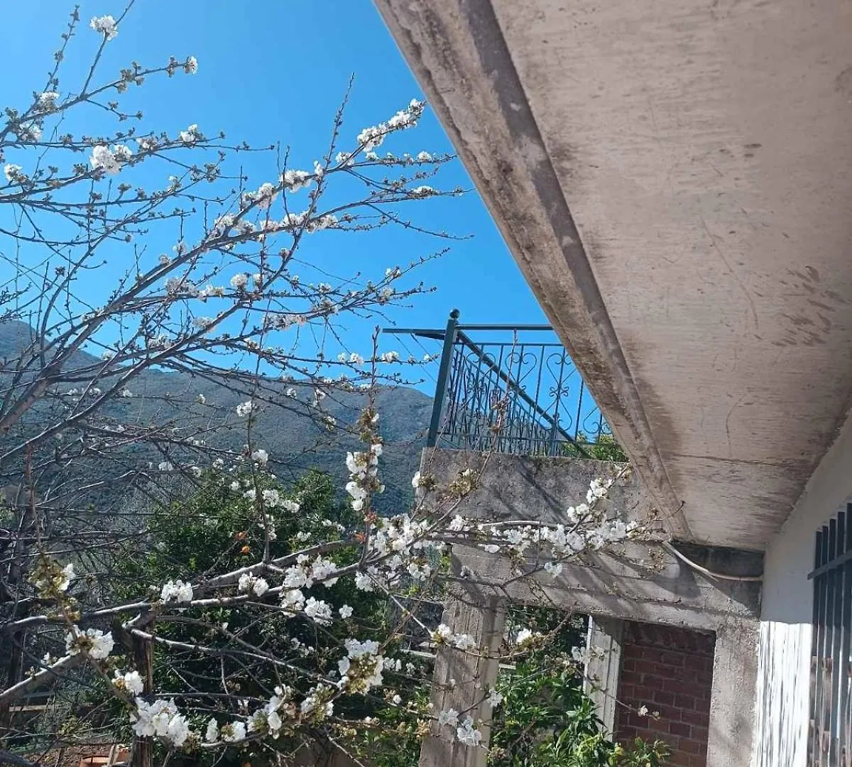 Patara'S Apartment ساراندا منزل للإقامة