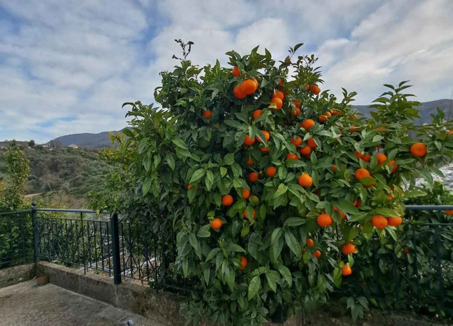 Patara'S Apartment Sarande