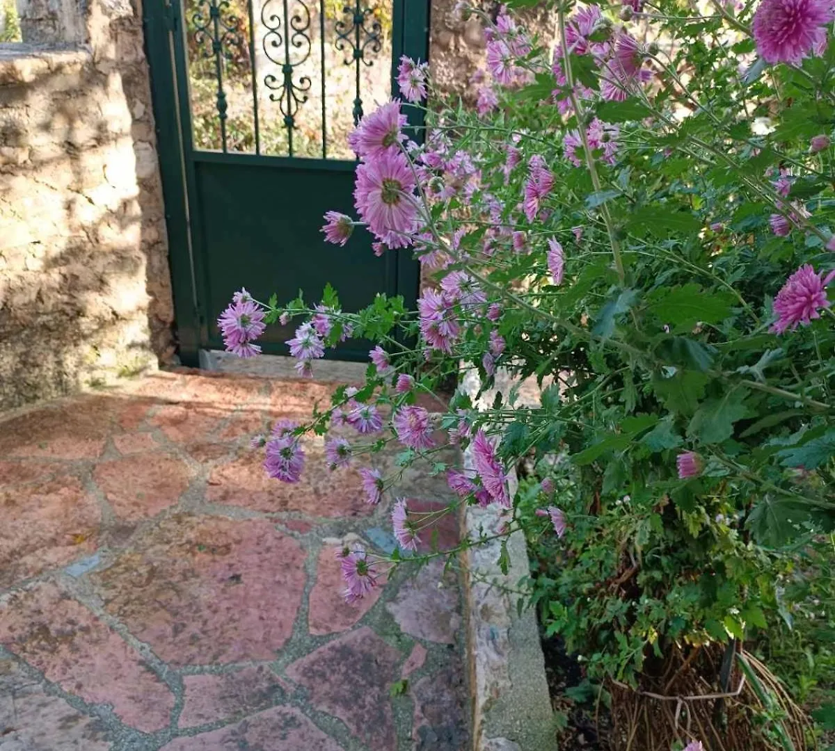 Homestay Patara'S Apartment Sarande